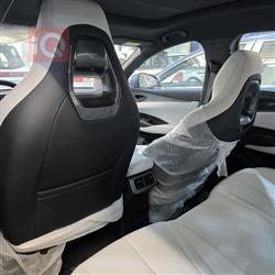 بي واي دي سيل 06 DM-i